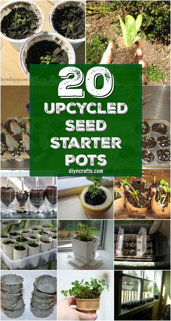 several pictures with plants growing in them and the words, 20 upcycled seed starter pots