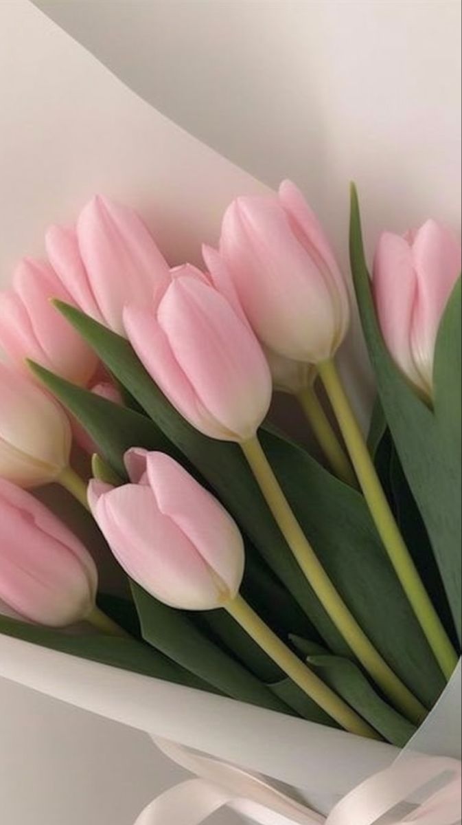 a bouquet of pink tulips with green leaves