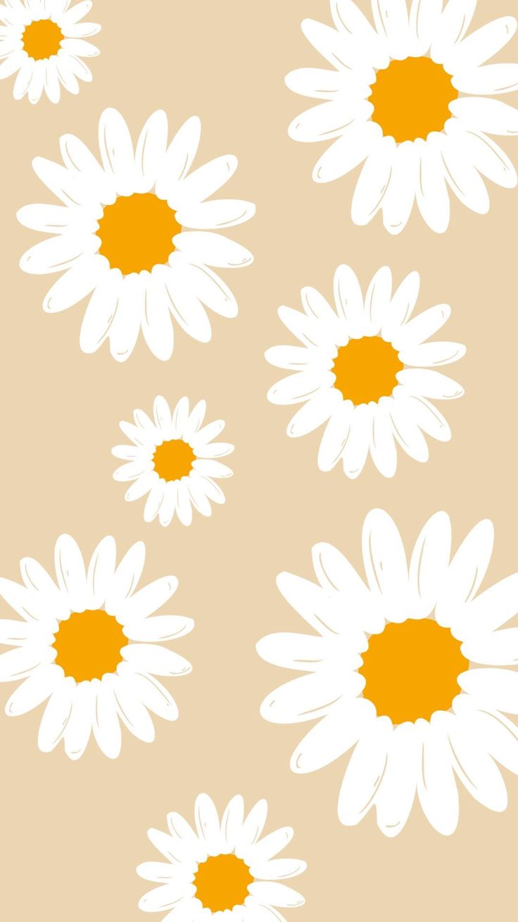 white daisies on a tan background with an orange center in the middle and bottom