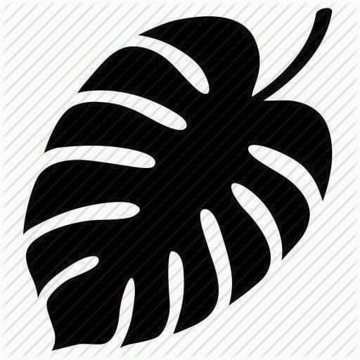 a black and white image of a leaf