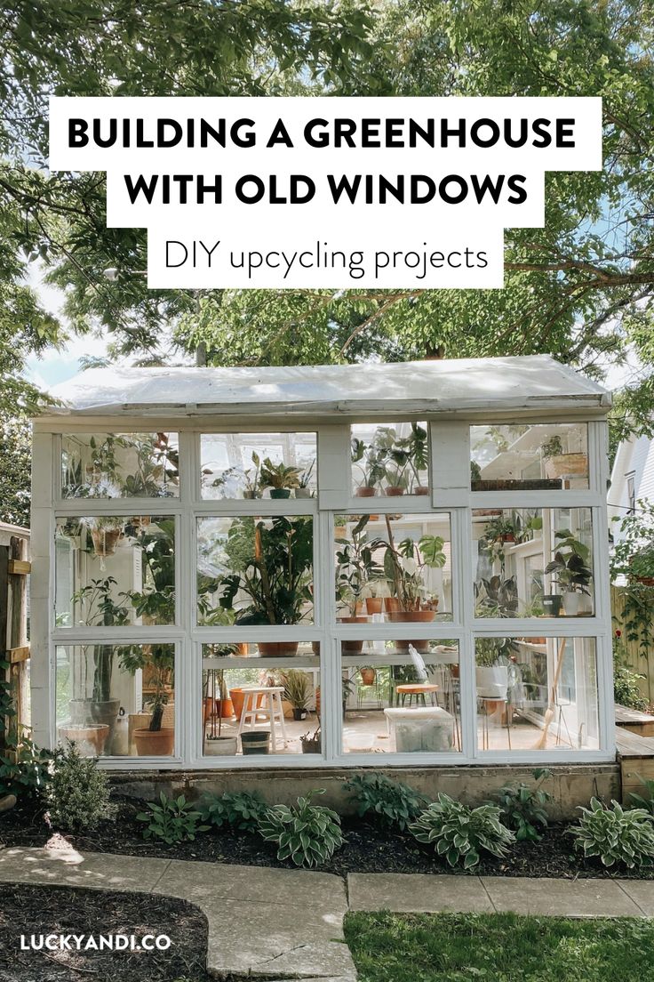 an old window with plants inside and the words building a greenhouse with old windows diy upcycling projects