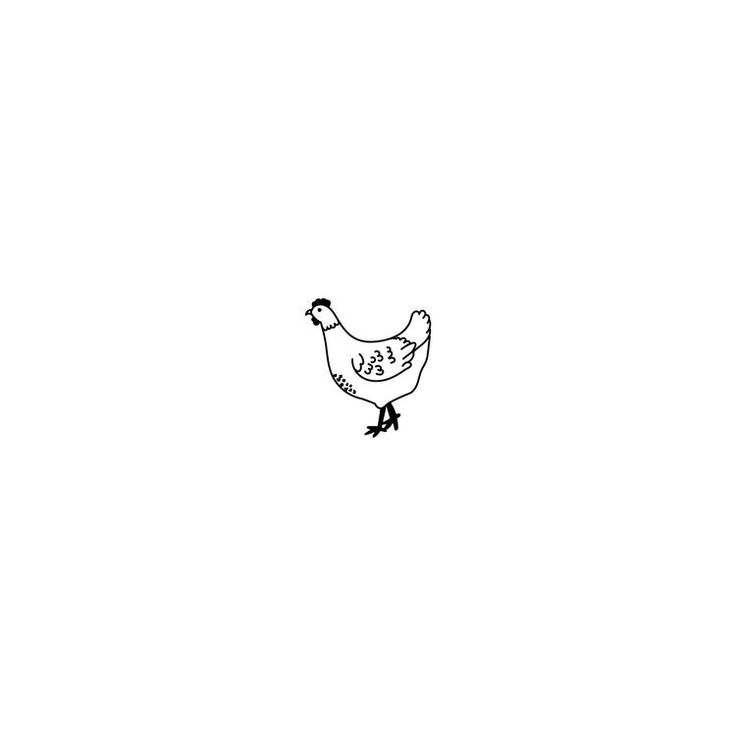 a black and white drawing of a chicken