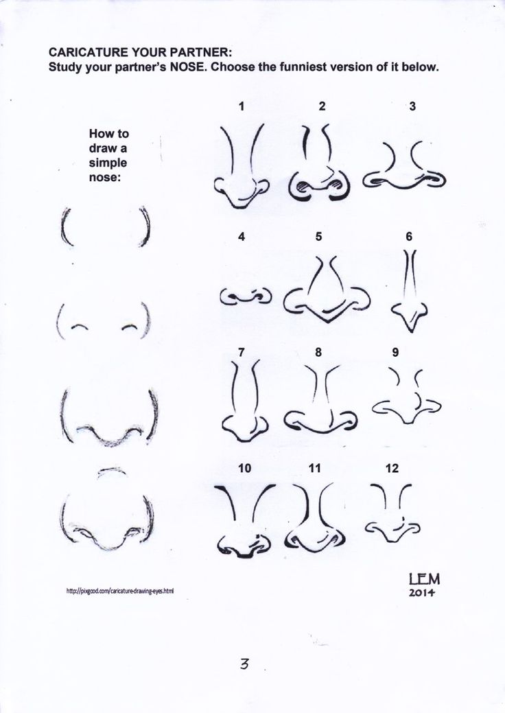 the instructions for how to draw an animal's nose