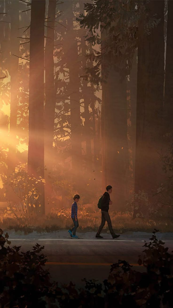 two people walking in the woods at sunset with sunbeams shining through the trees