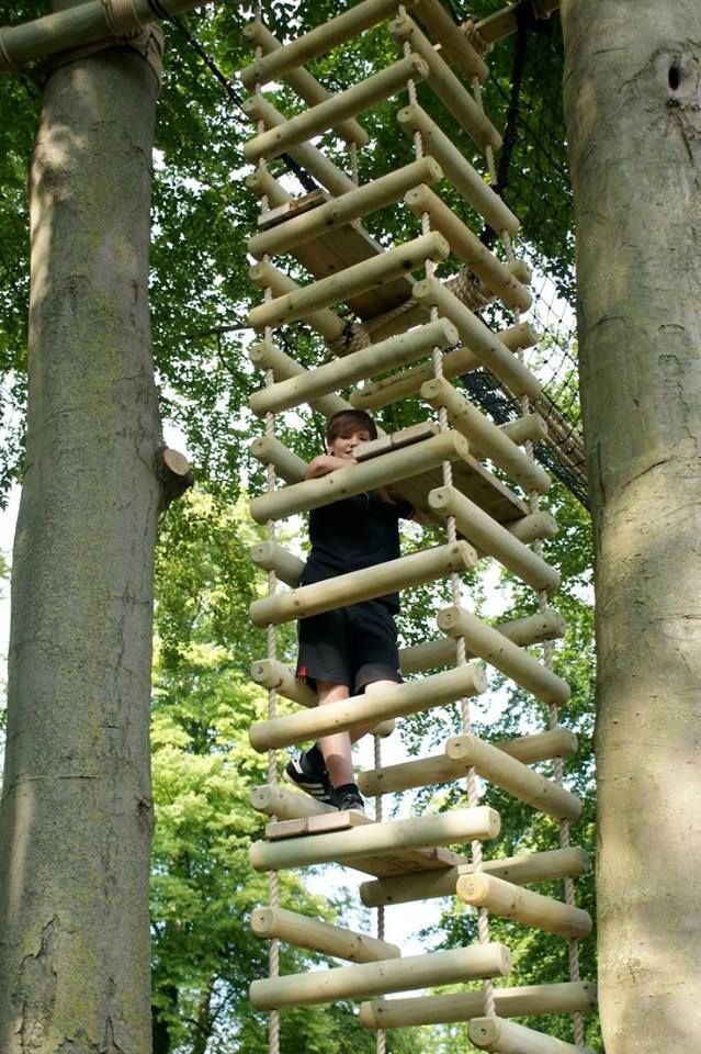 a man climbing up a wooden ladder in the forest