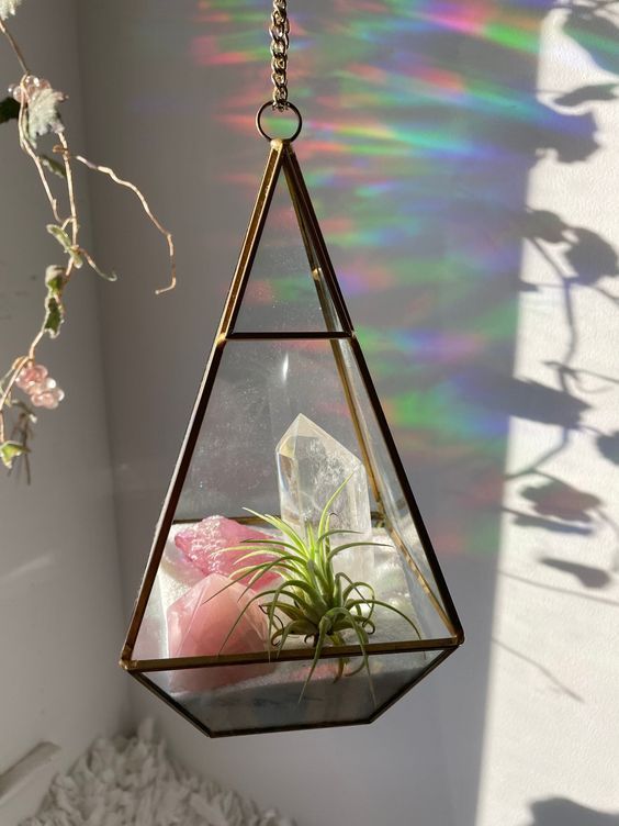 an air plant hanging from a glass terrarium with sunlight shining on the wall behind it