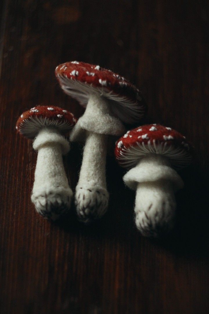 three mushrooms sitting on top of a wooden table