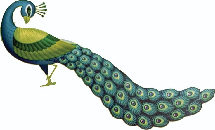 a painting of a blue and green peacock with its tail spread out, it's eyes wide open