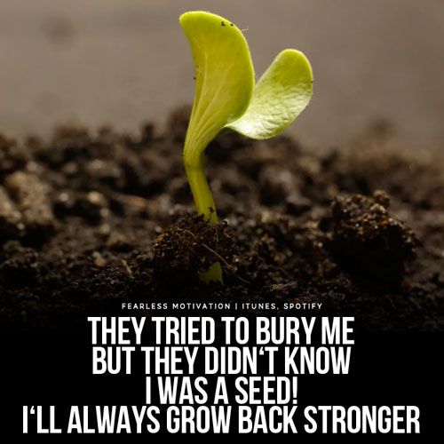 a small green plant sprouts from the ground with a quote about growing seedlings