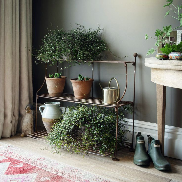 a shelf with potted plants on top of it next to a rug and window