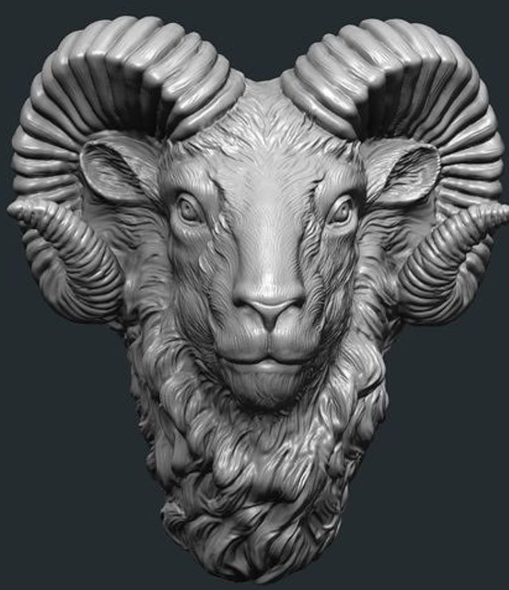 the head of a ram with large horns on it's face is shown in black and white