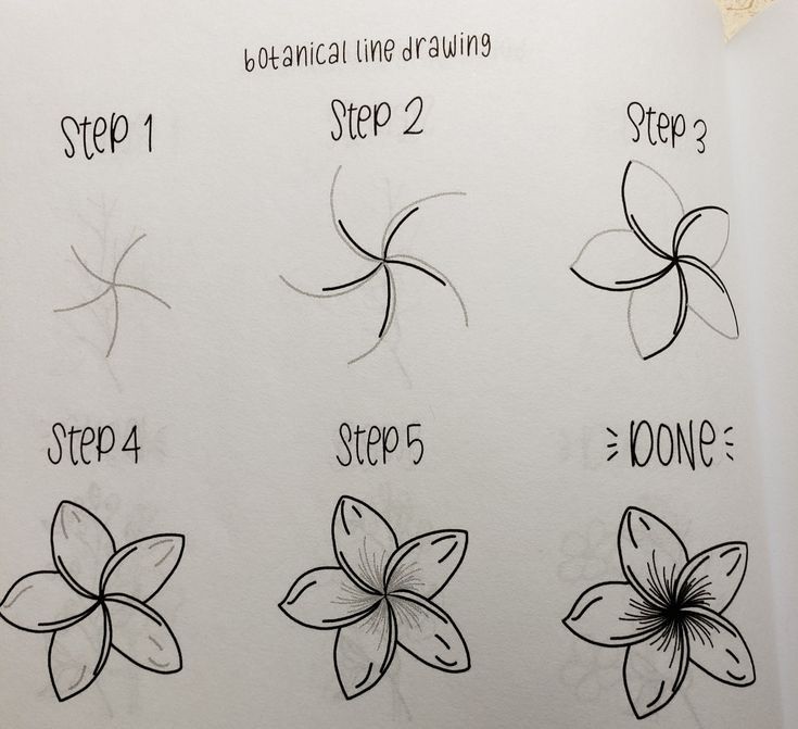 the steps to drawing flowers are shown in black and white