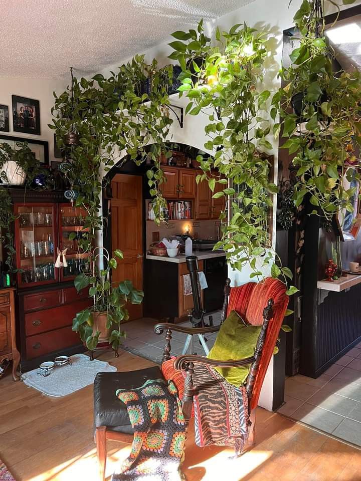 a living room filled with furniture and lots of plants