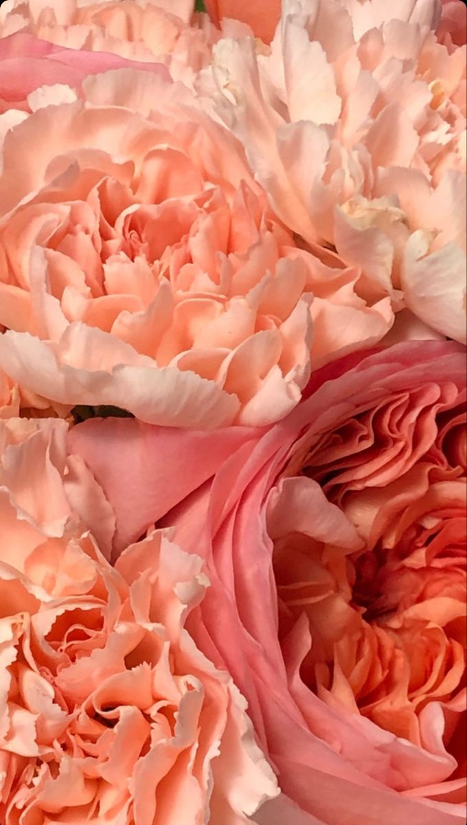 pink and white flowers are arranged together