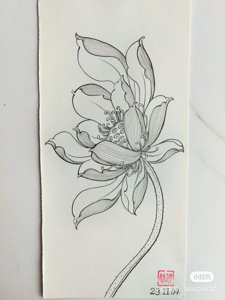 a drawing of a flower on a piece of paper