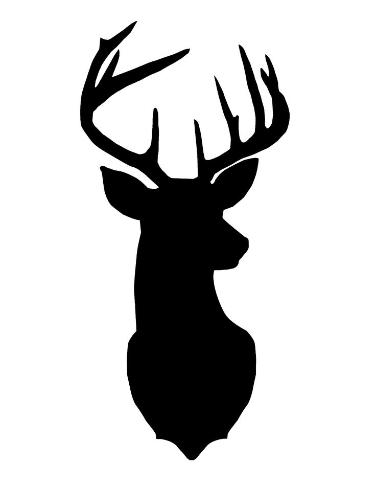 a black and white photo of a deer's head with antlers on it