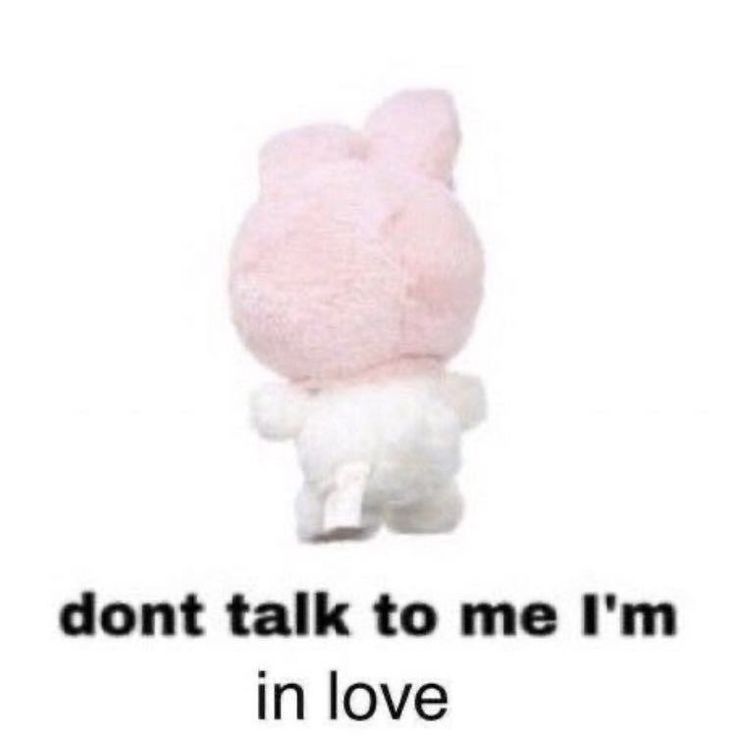 a pink stuffed animal with the words don't talk to me i'm in love