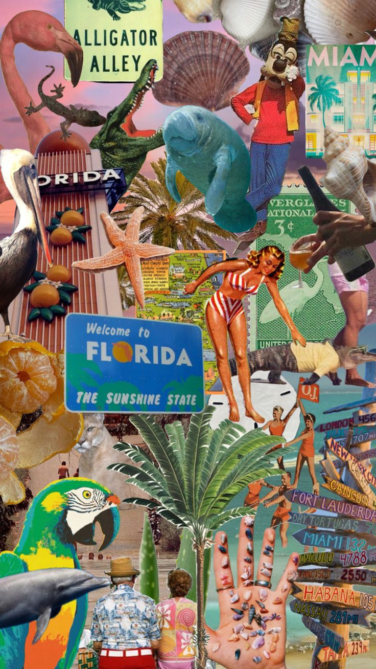 a collage of various images including signs, palm trees and people