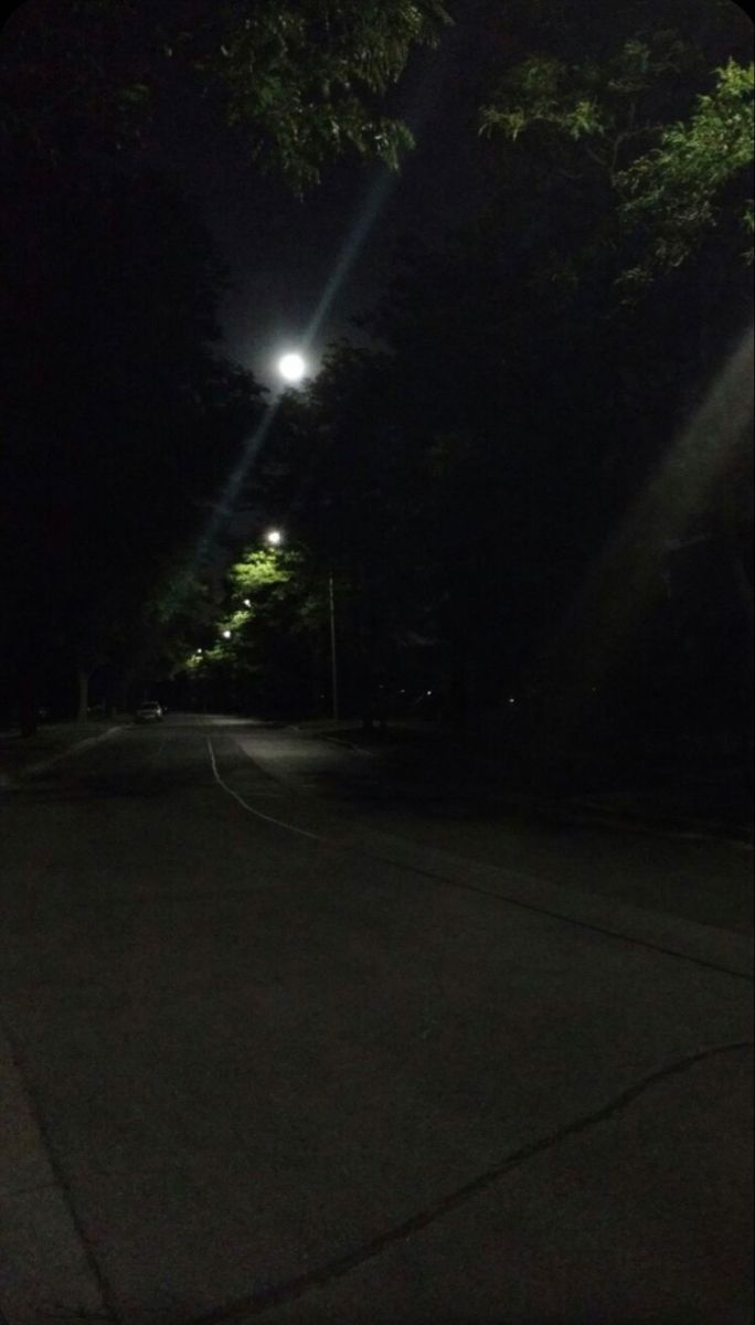 an empty street at night with the lights on and trees in the foreground lit up