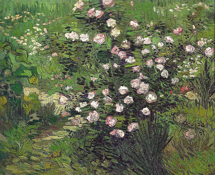 a painting of white and pink flowers in a garden