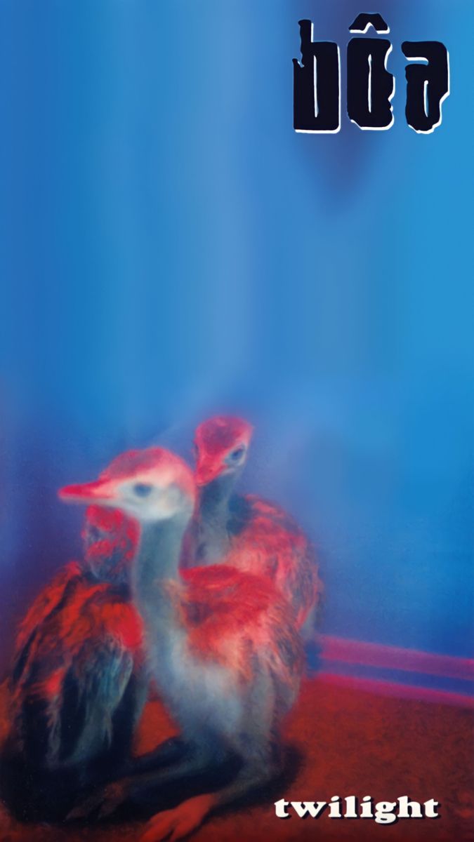 two birds sitting next to each other in front of a blue and red background with the words twilight on it