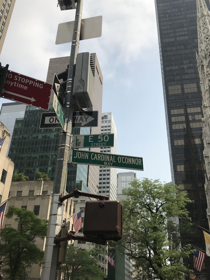 the street signs are clearly visible for everyone to see on this city's streets