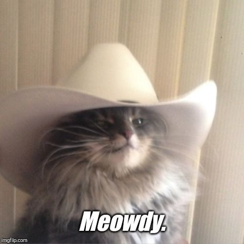 a cat wearing a cowboy hat with the caption meowy, i'm not