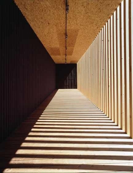 shadows cast on the wall and floor in an empty hallway with vertical slatted walls