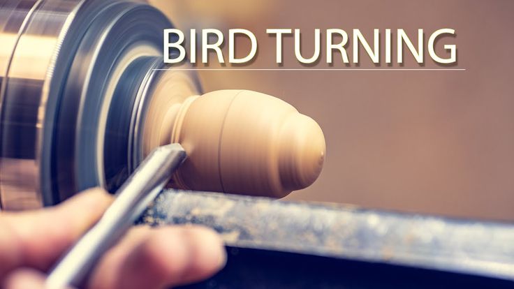 Wood Turning Projects For Beginners, Wood Lathe Projects For Beginners, Christmas Woodturning Projects, Wood Turning Ideas, Wood Turned Bird Feeder, Wood Turned Jewelry Holder, Multi Axis Woodturning, Wood Turned Spinning Tops, Woodturning Projects