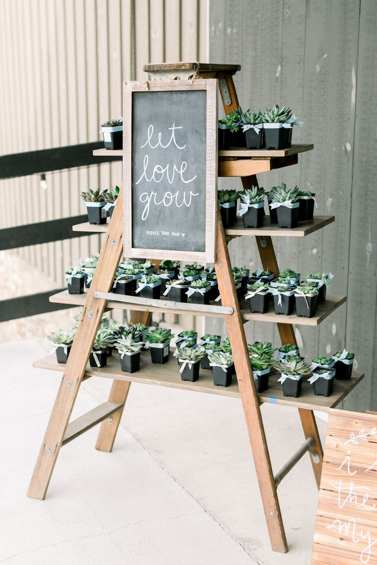 a sign that says let love grow next to some potted plants on a wooden stand