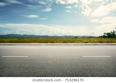 Road side paddy field view background | Road pictures, Background,  Background images