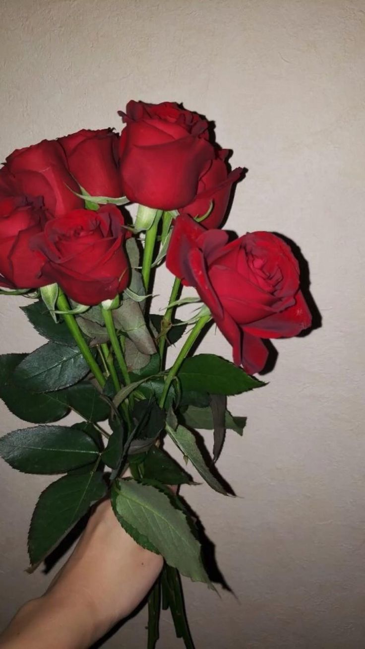 a bouquet of red roses being held by a person's hand in front of a wall