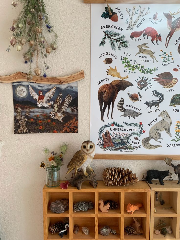 an owl is sitting on a shelf in front of a poster with animals and plants