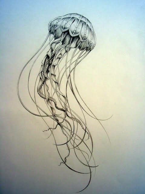 a drawing of a jellyfish in black and white with watermarked on it