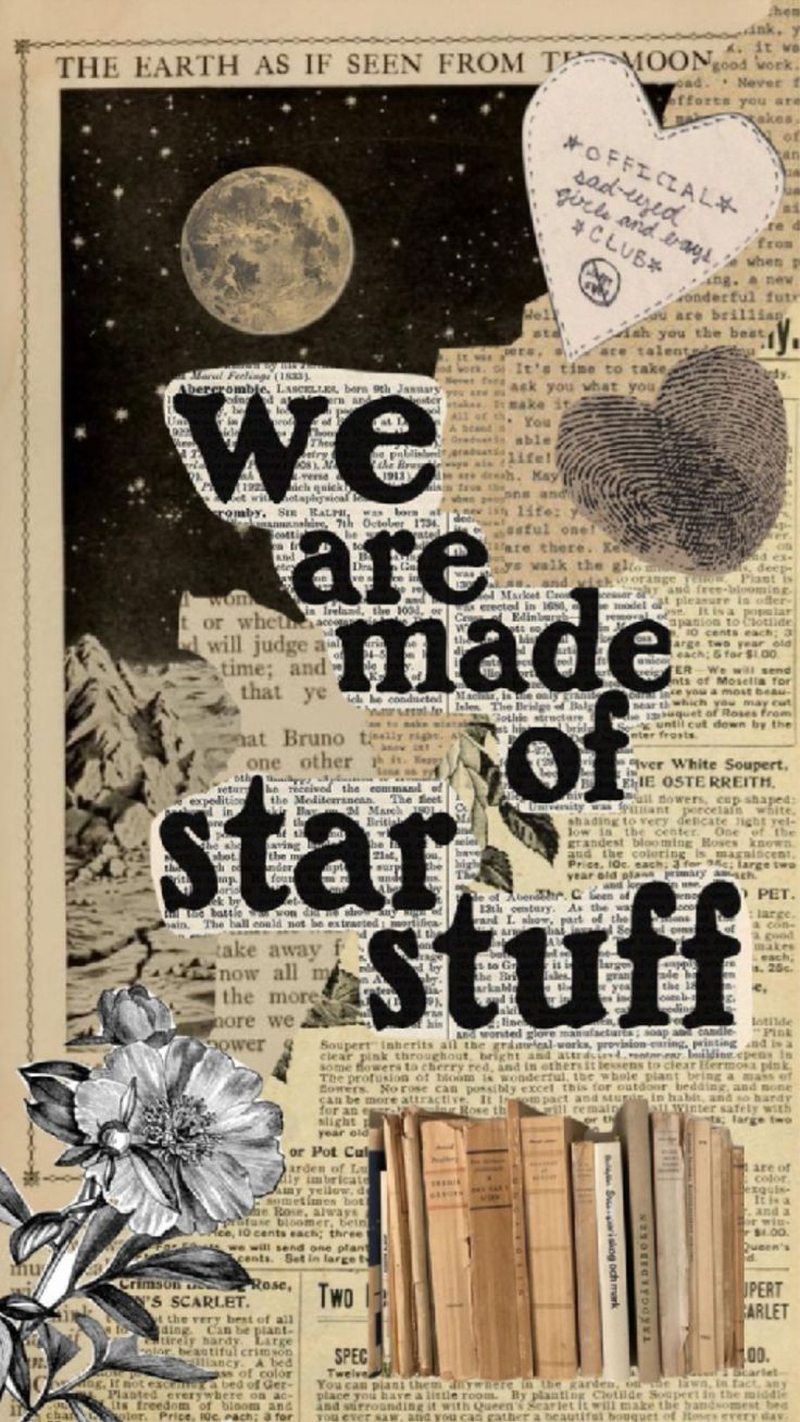 the words we are made of star stuff on top of an image of books and flowers