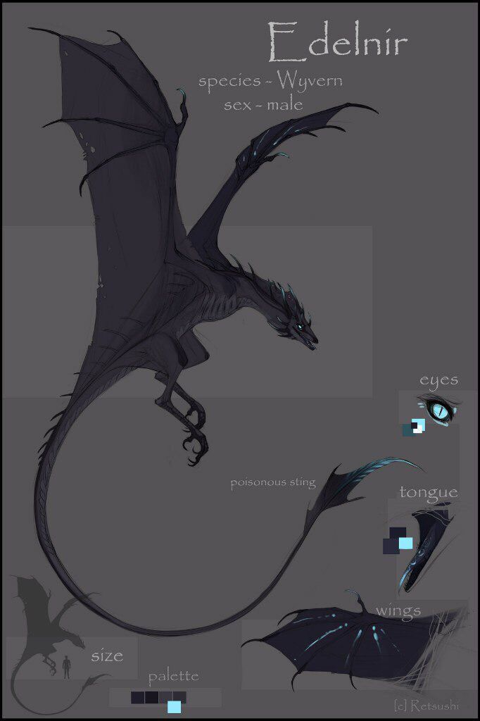 an image of a black dragon with blue eyes and wings, on a gray background