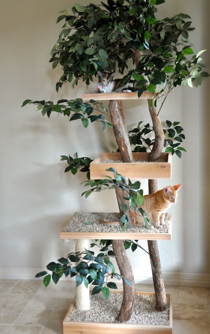 a cat sitting on top of a wooden shelf next to a tree in a room