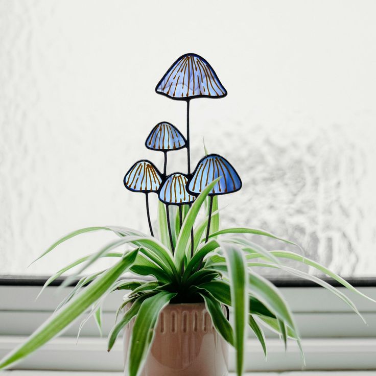 a potted plant sitting on top of a window sill