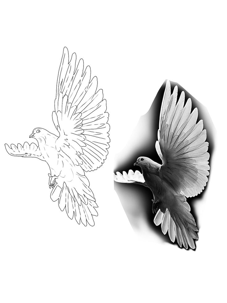 a black and white drawing of a bird flying next to another bird with its wings spread