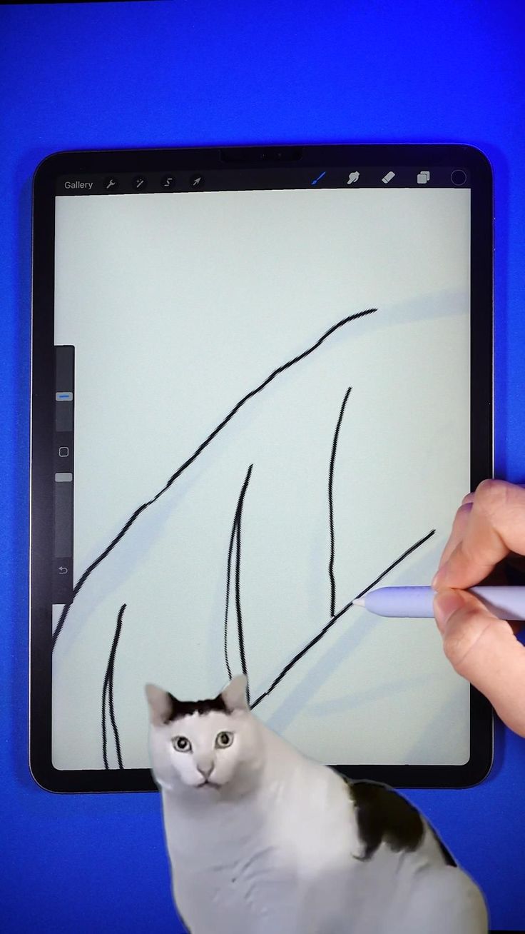 a person is drawing on a tablet with a cat