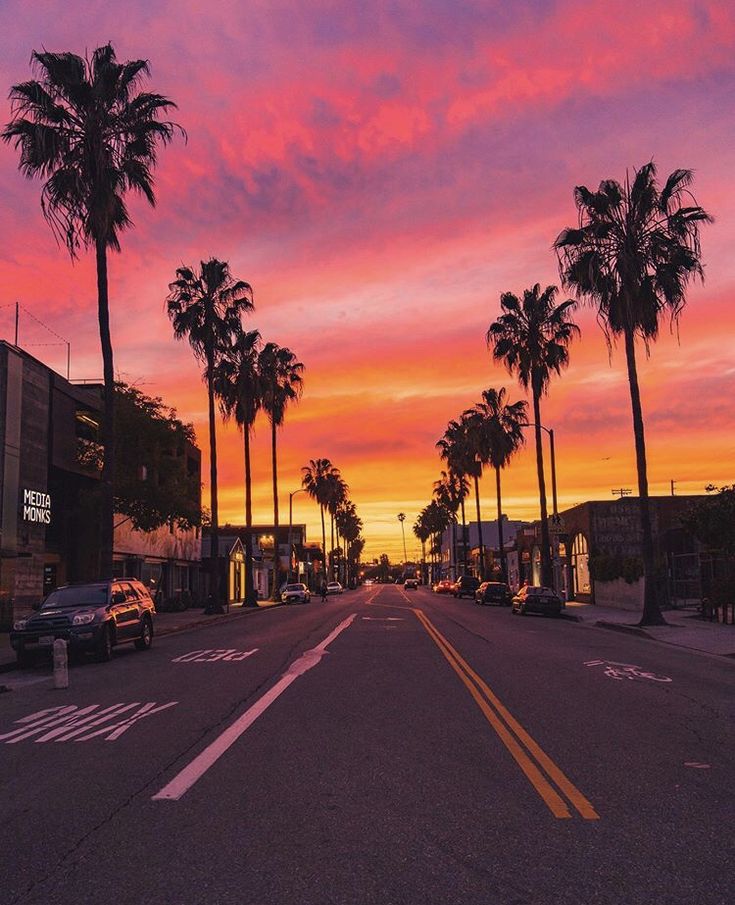 palm trees line the street as the sun sets in an orange and pink sky above