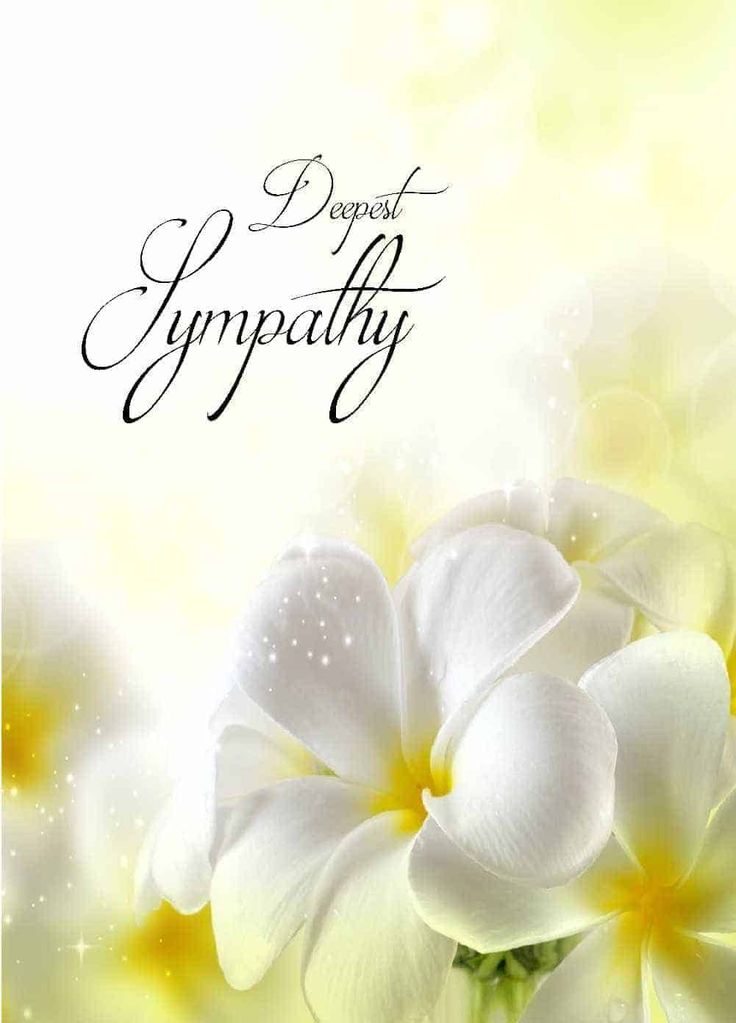 some white flowers with the words sympathy on it's bottom corner, and an image of