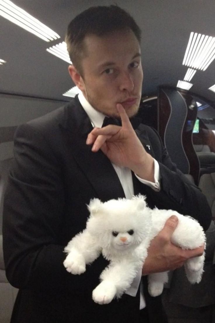 a person holding a small white stuffed animal