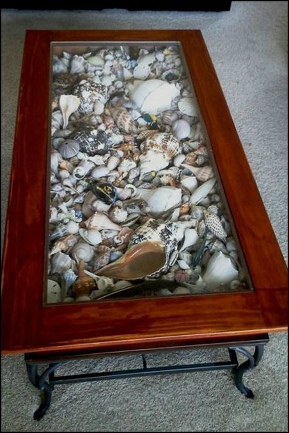 a wooden table topped with lots of different types of rocks and sea shells on top of carpeted flooring