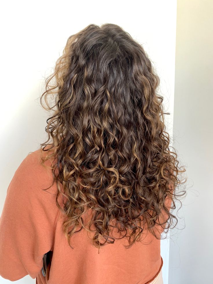 Long Curly Haircuts, Dyed Curly Hair, Natural Curly Hair Cuts, Highlights Curly Hair, Layered Curly Hair, Brown Curly Hair, Curly Hair Photos, Colored Curly Hair, Haircuts For Curly Hair