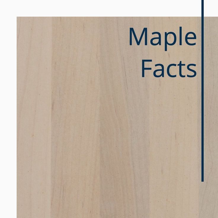 the maple fact is shown in blue text on a white background with wood grains