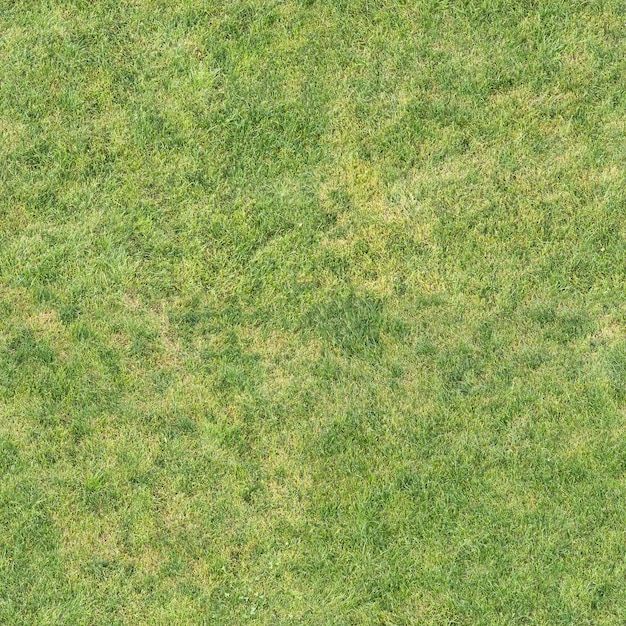 an overhead view of a green field with grass