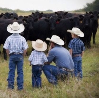 three men in cowboy hats are standing next to some black cows on the grass with trees in the background