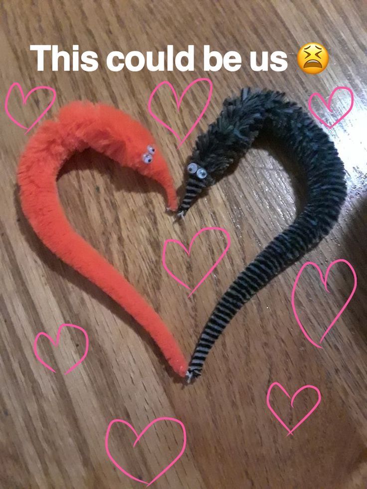 an image of a heart shaped snake on the floor with text that reads, this could be us