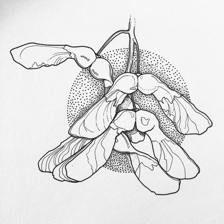 a black and white drawing of a flower